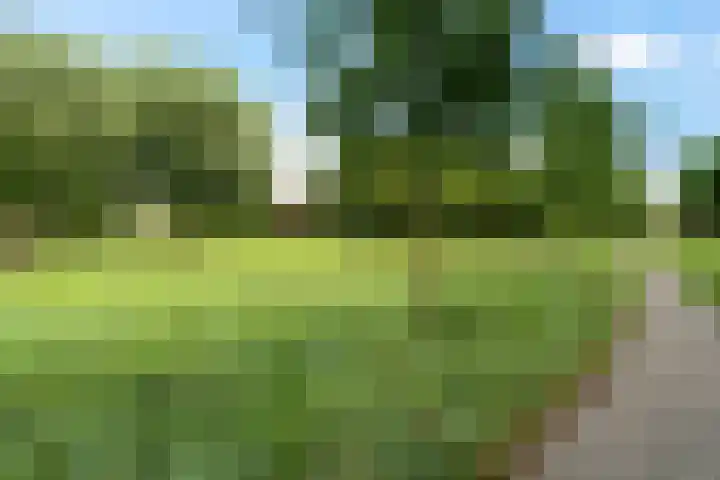 Lommerbaan 108 Zoetermeer thumbnail 56