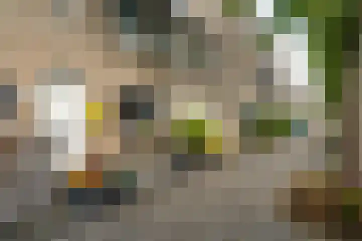 Lommerbaan 108 Zoetermeer thumbnail 7