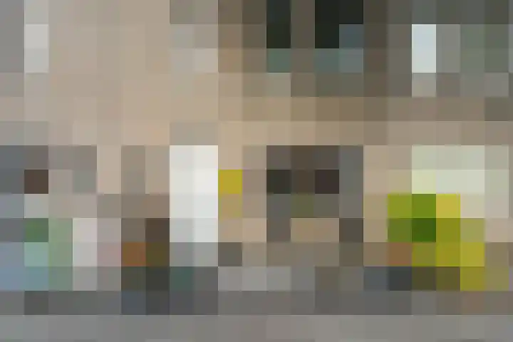 Lommerbaan 108 Zoetermeer thumbnail 8