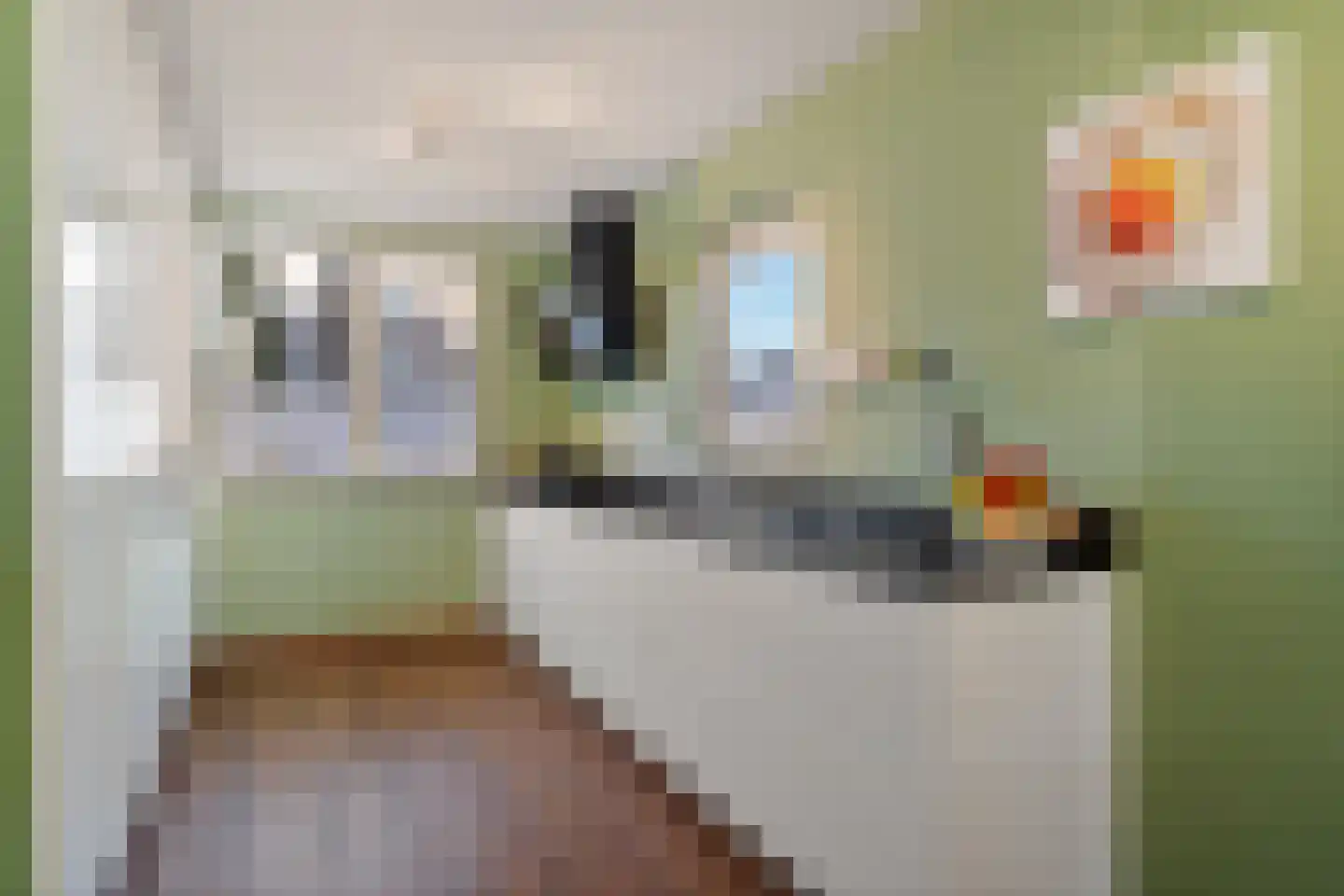 Lommerbaan 138 Zoetermeer thumbnail 14