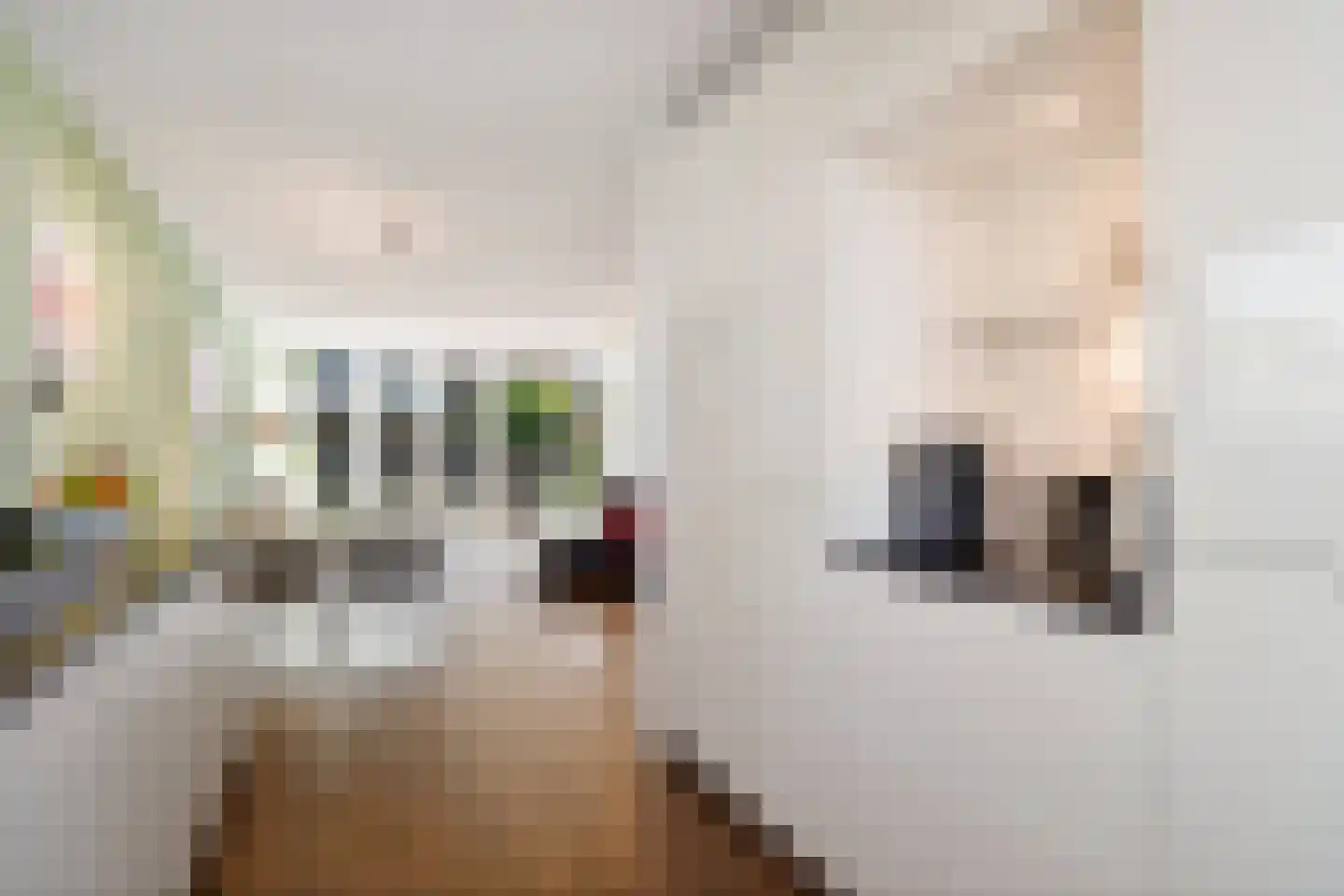 Lommerbaan 138 Zoetermeer thumbnail 16