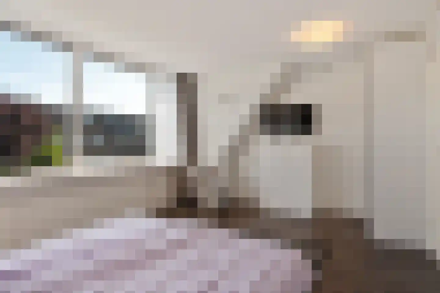 Lommerbaan 138 Zoetermeer thumbnail 28
