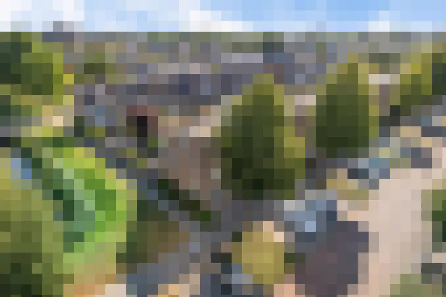 Lommerbaan 138 Zoetermeer thumbnail 44