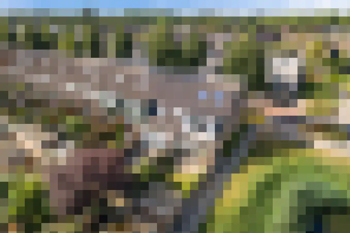 Lommerbaan 138 Zoetermeer thumbnail 48