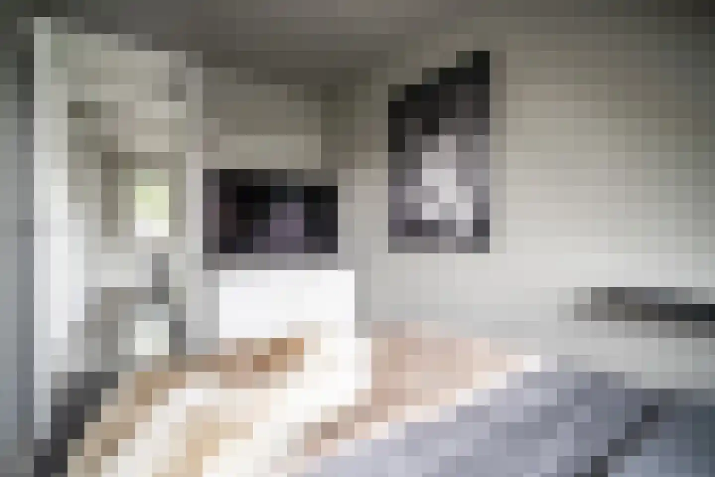Lommerbaan 143 Zoetermeer thumbnail 44