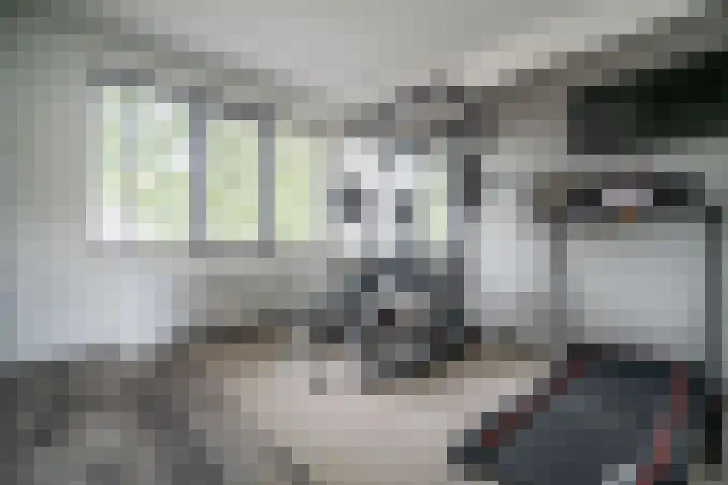 Lommerbaan 143 Zoetermeer thumbnail 45