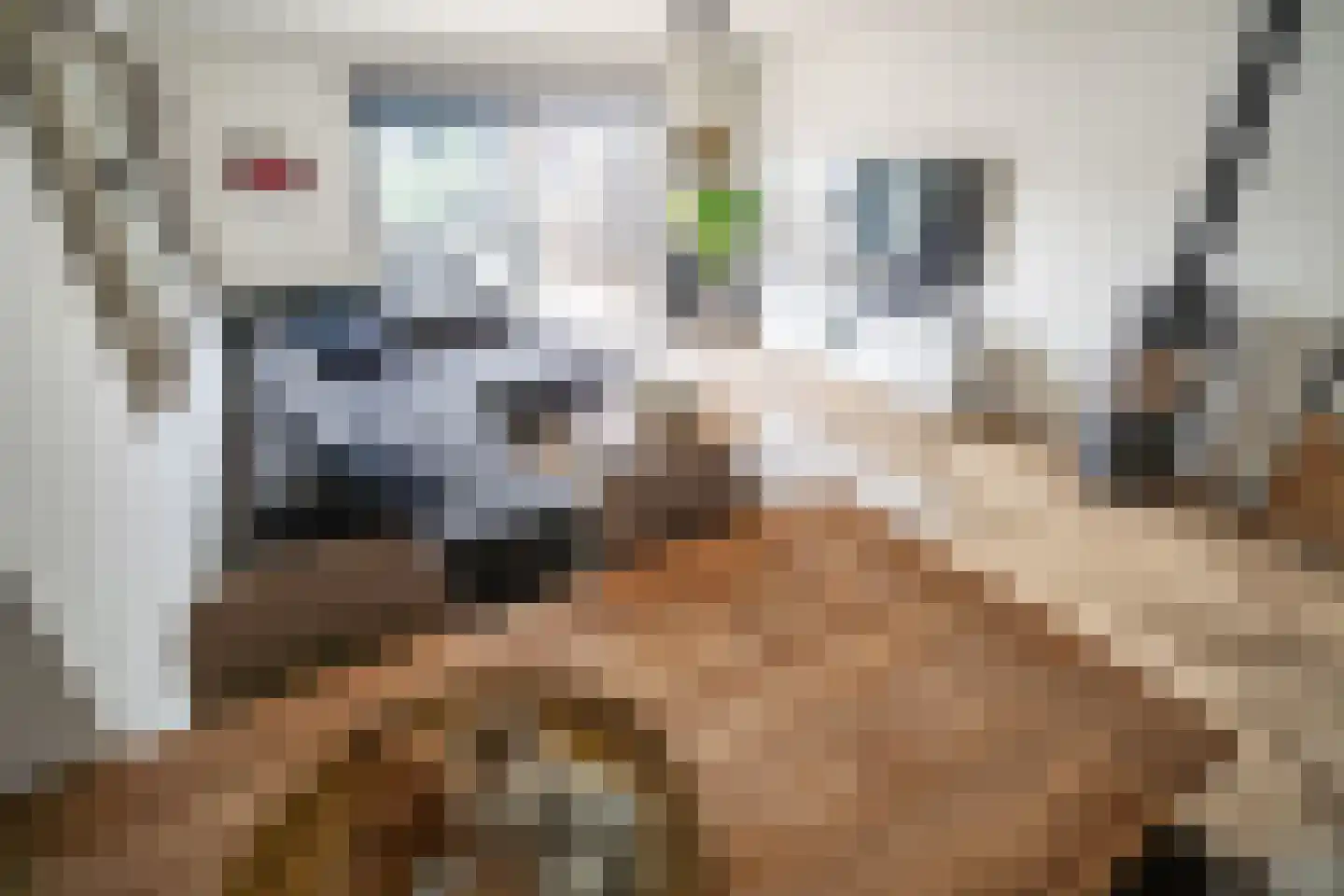 Lommerbaan 143 Zoetermeer thumbnail 5
