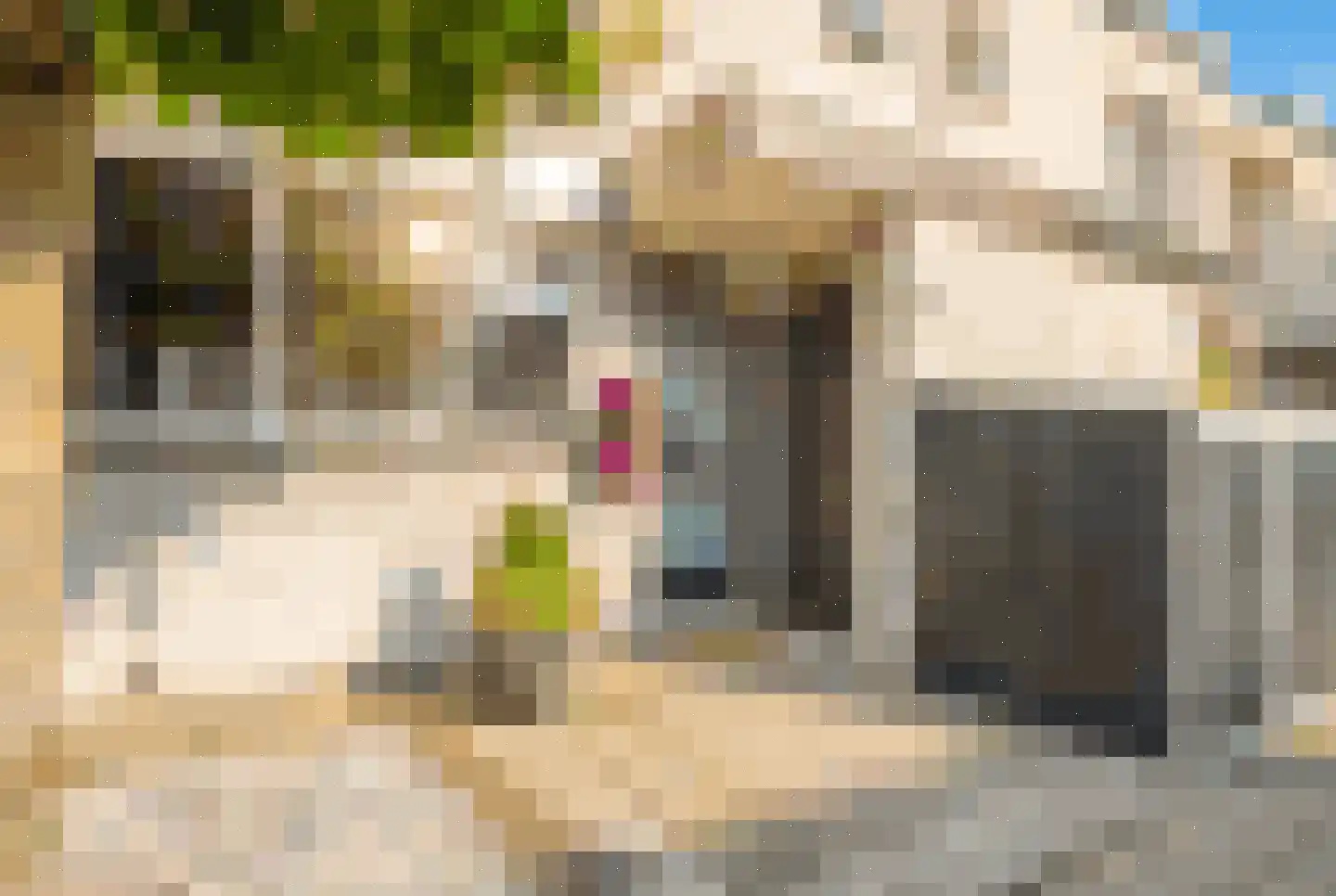 Lommerbaan 143 Zoetermeer thumbnail 56