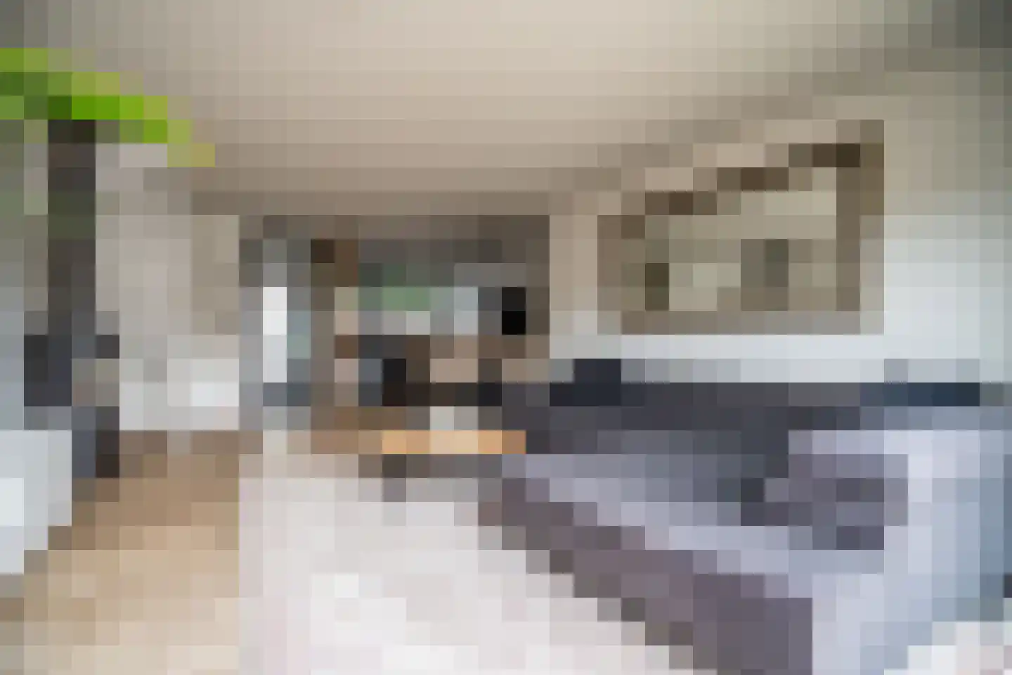 Lommerbaan 143 Zoetermeer thumbnail 9