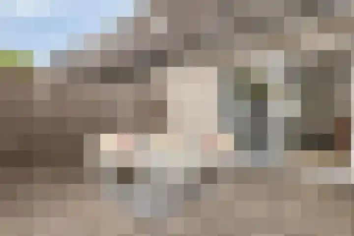Lommerbaan 177 Zoetermeer thumbnail 14