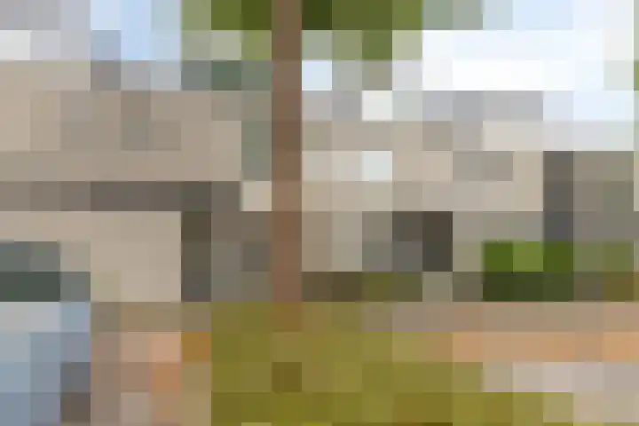 Lommerbaan 177 Zoetermeer thumbnail 32