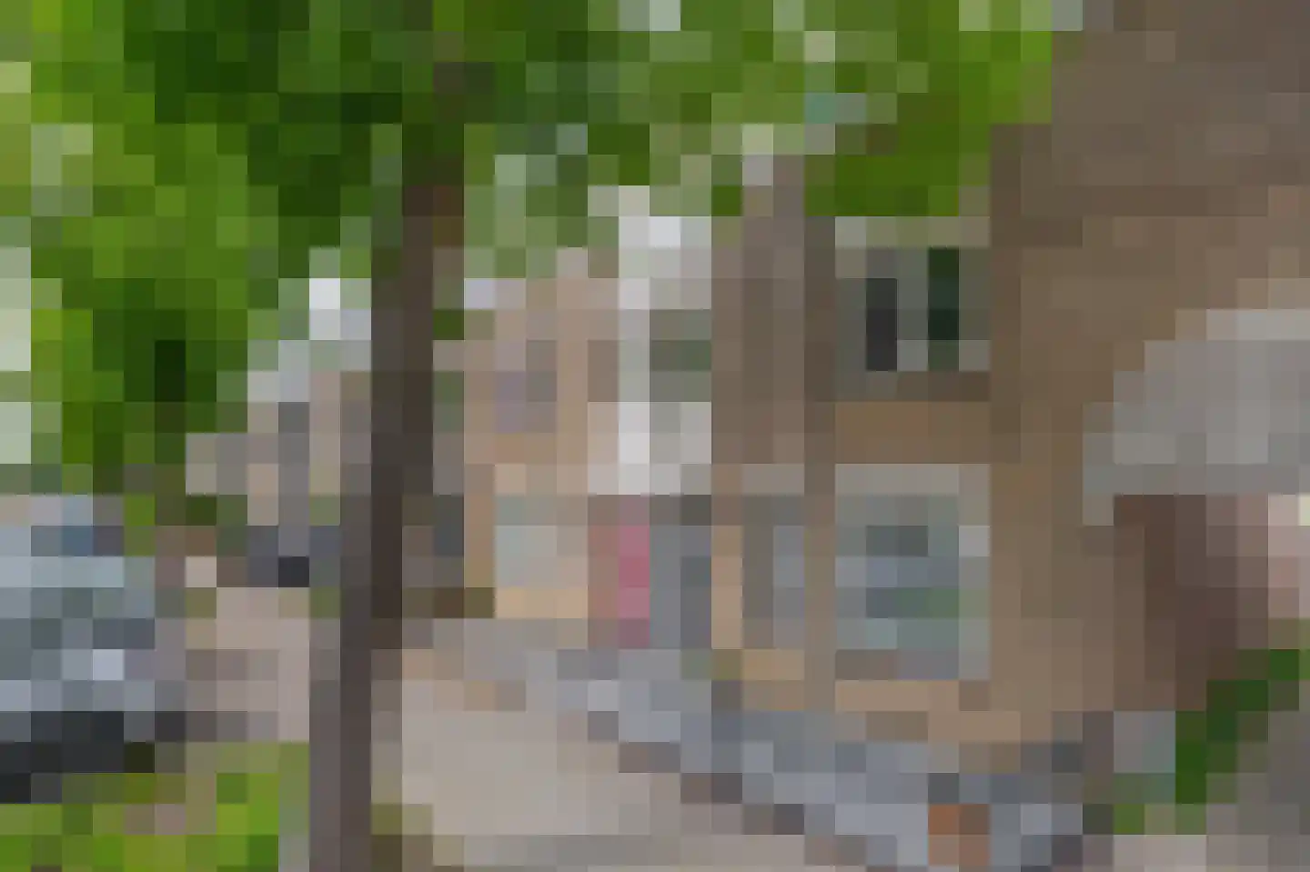Lommerbaan 64 Zoetermeer thumbnail 32