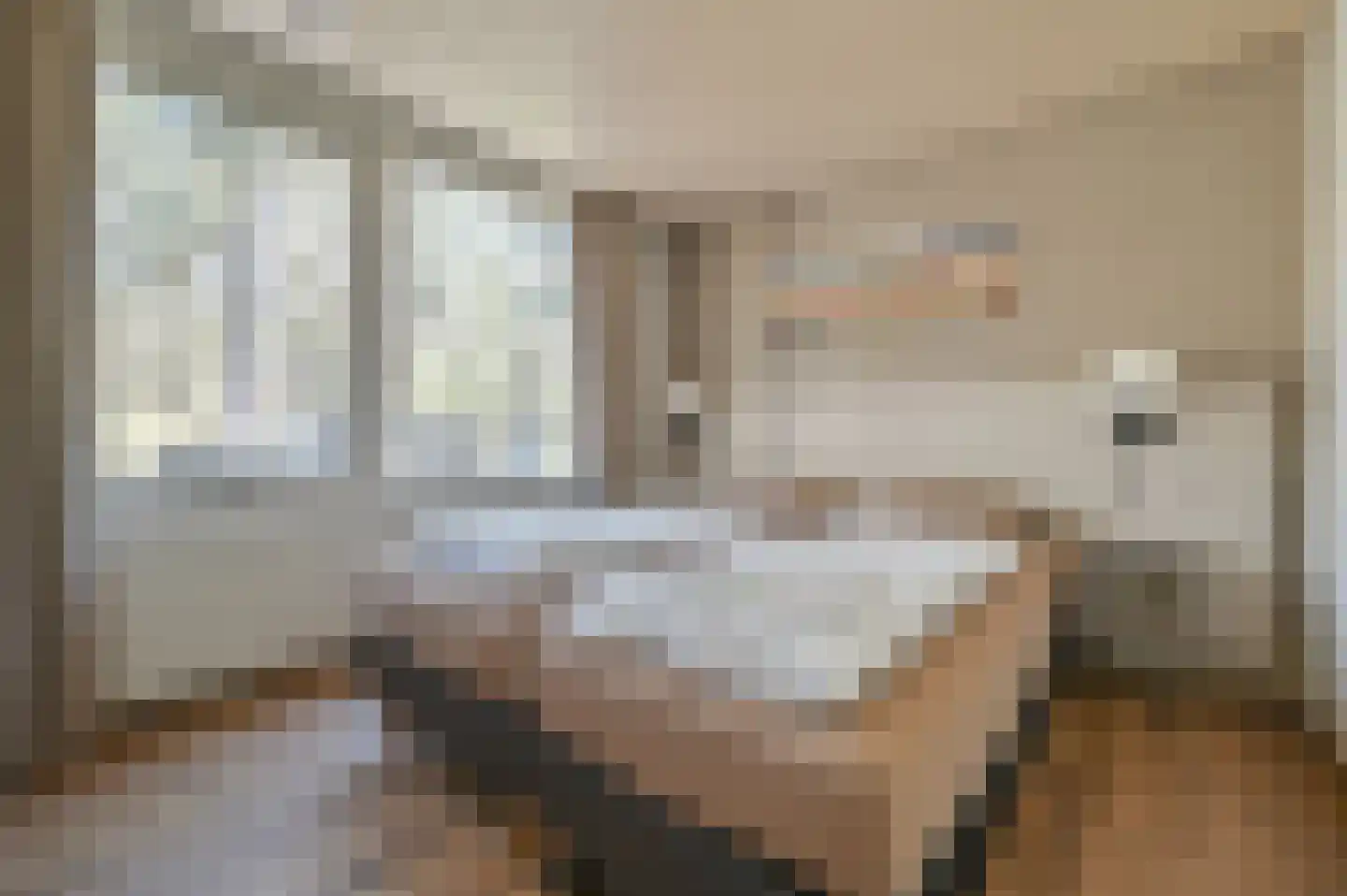 Lommerbergen 216 Reuver thumbnail 12