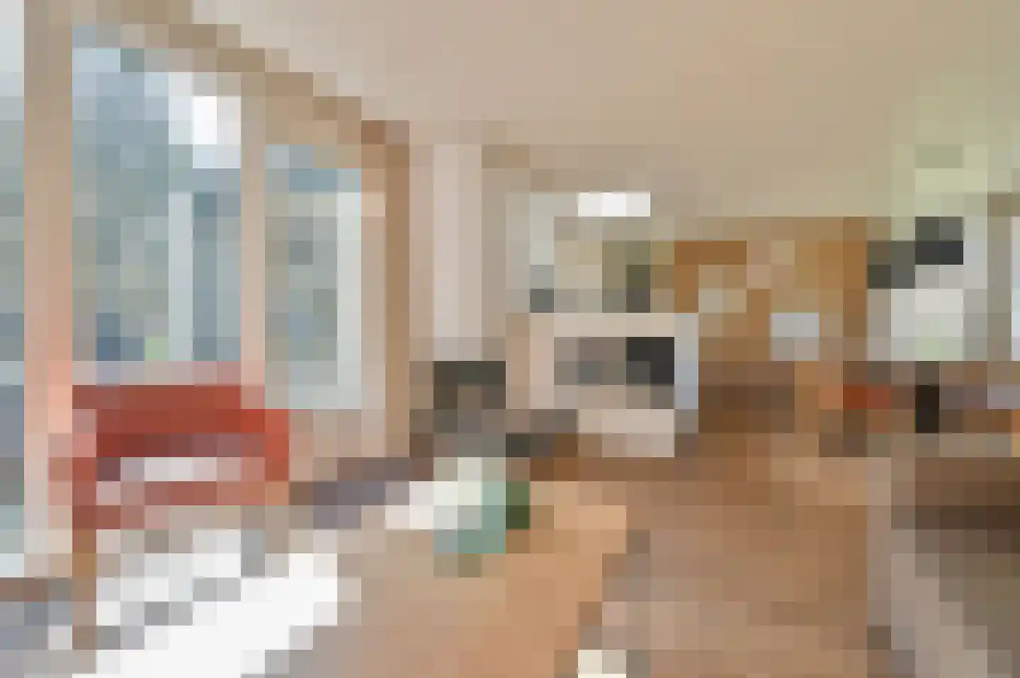 Lommerbergen 216 Reuver thumbnail 5