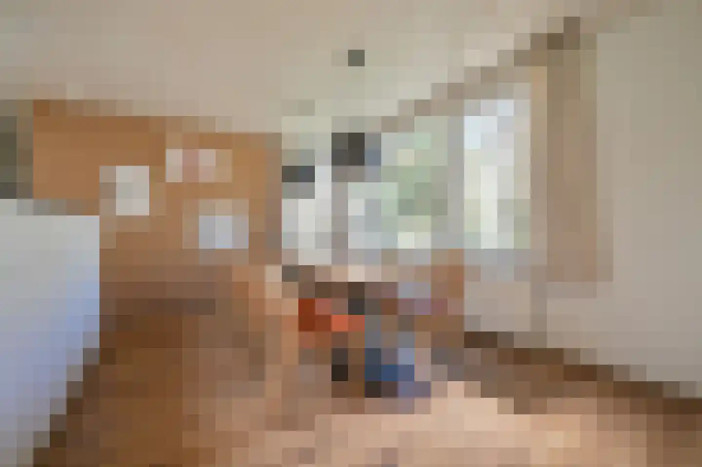 Lommerbergen 216 Reuver thumbnail 6