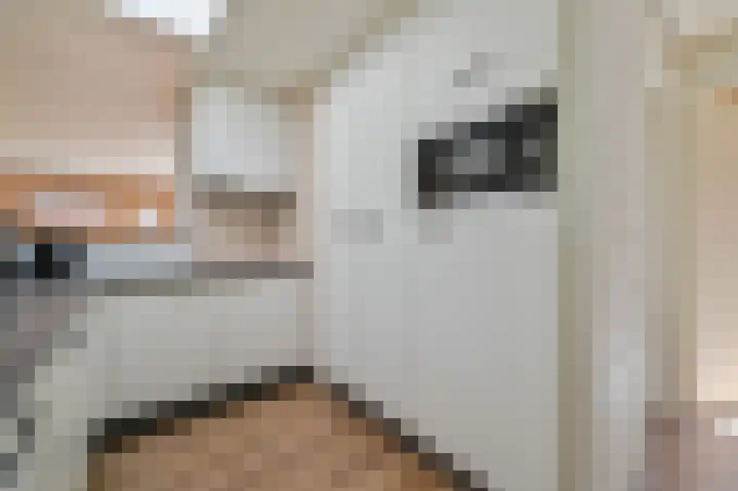 Lommerbergen 216 Reuver thumbnail 8