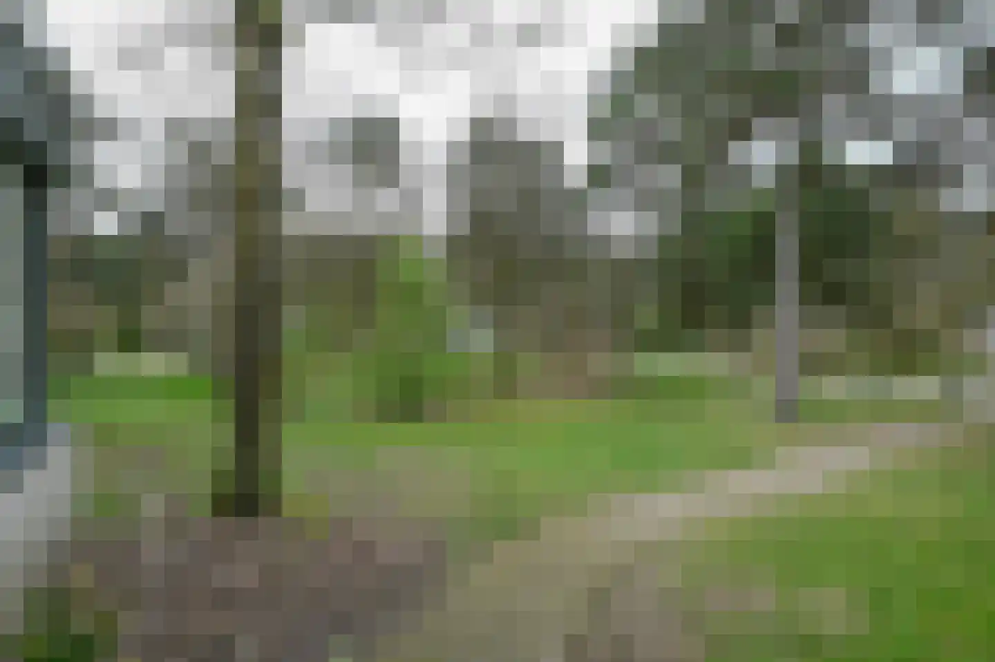 Lommerbergen 217 Reuver thumbnail 25