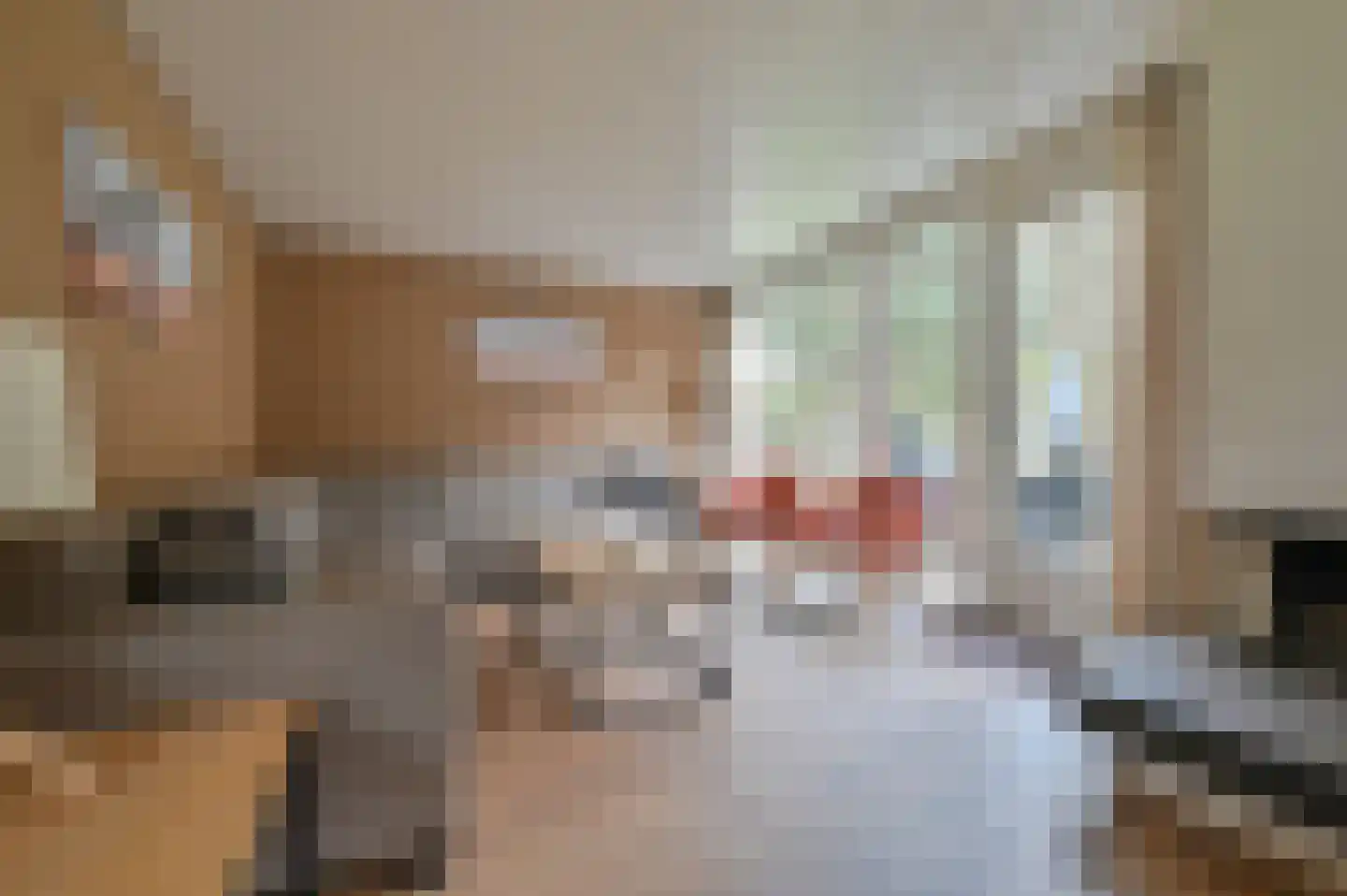 Lommerbergen 217 Reuver thumbnail 4