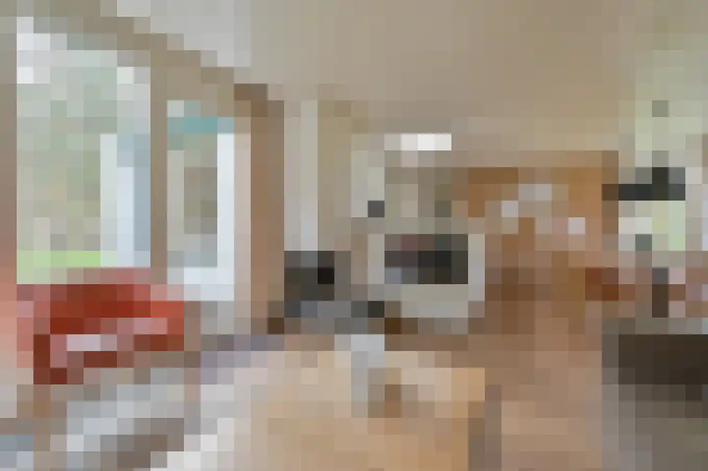 Lommerbergen 217 Reuver thumbnail 5