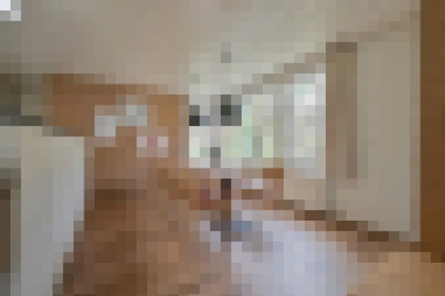 Lommerbergen 217 Reuver thumbnail 6