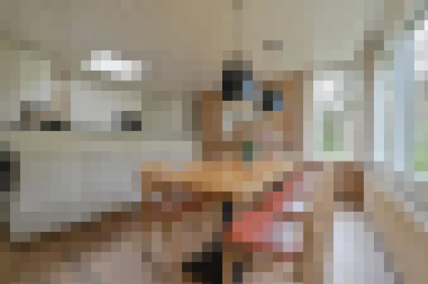 Lommerbergen 217 Reuver thumbnail 7