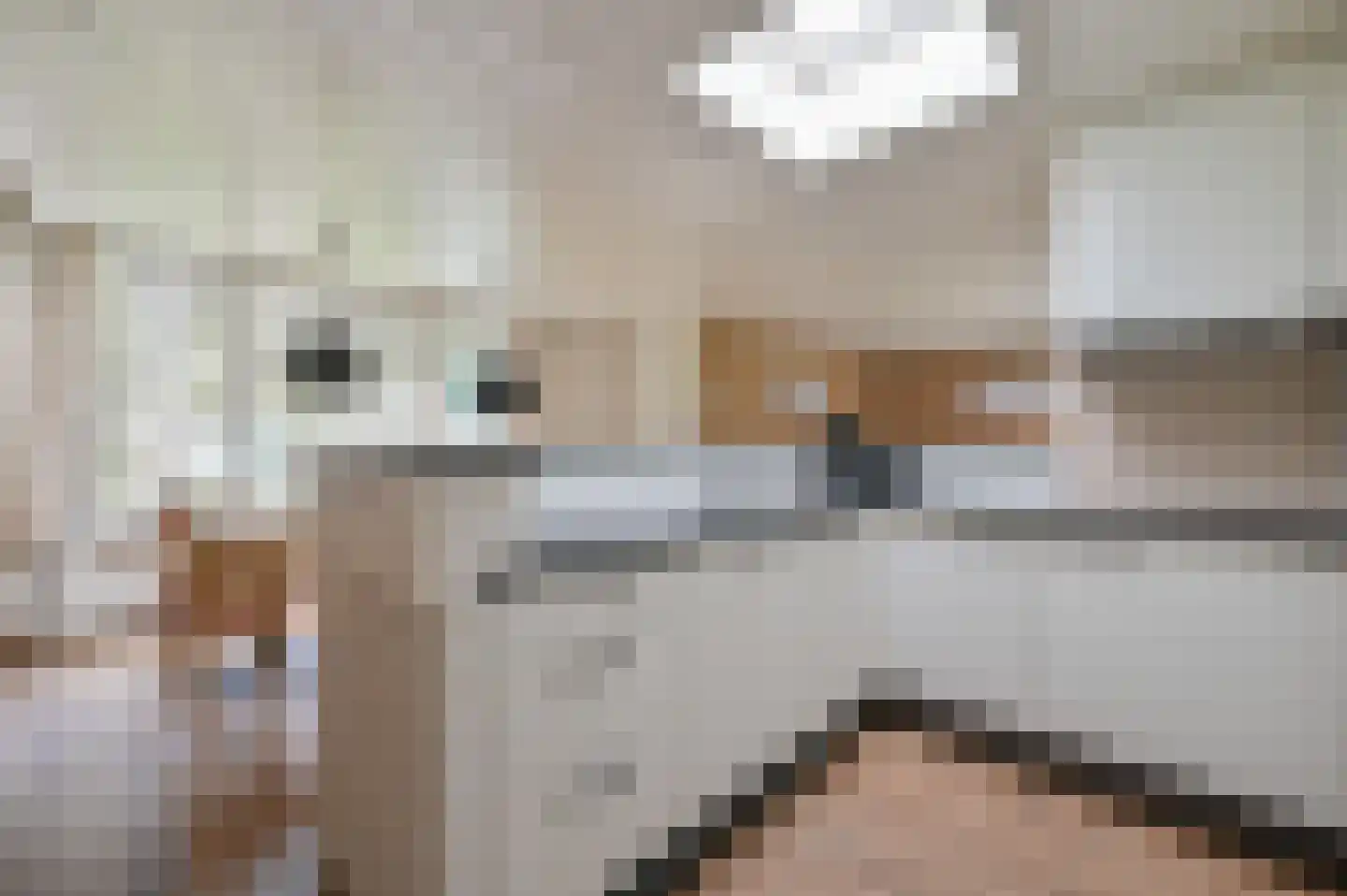Lommerbergen 217 Reuver thumbnail 8