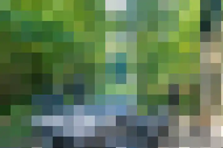 Lommerbergen 277 Reuver thumbnail 15