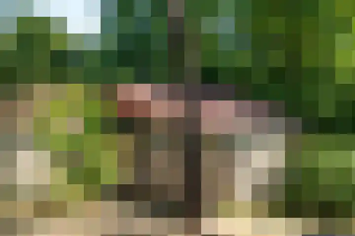 Lommerbergen 277 Reuver thumbnail 17