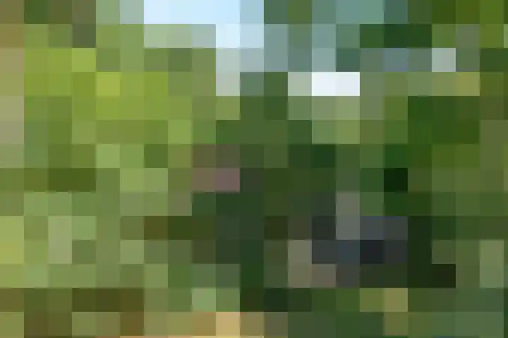 Lommerbergen 277 Reuver thumbnail 18