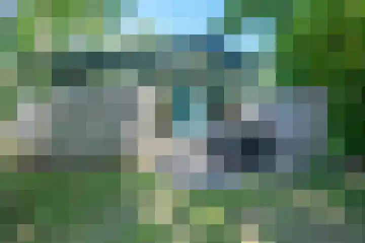 Lommerbergen 277 Reuver thumbnail 22