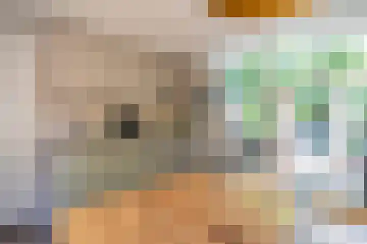 Lommerbergen 277 Reuver thumbnail 8