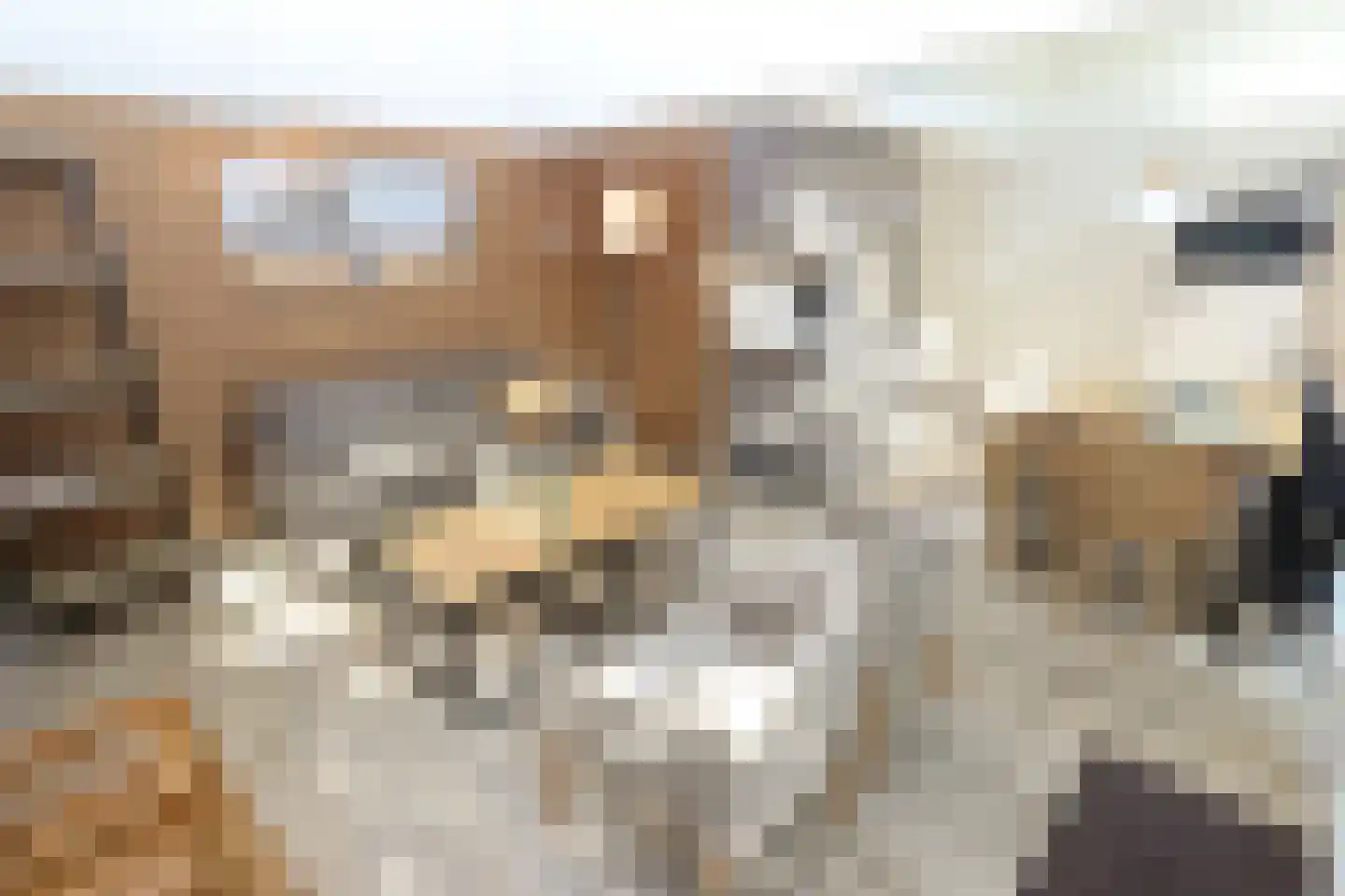 Lommerbergen 315 Reuver thumbnail 4