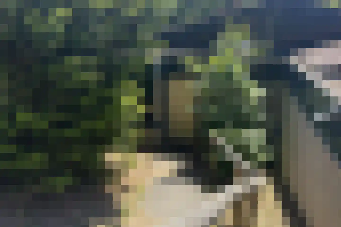Lommerbergen 315 Reuver thumbnail 4