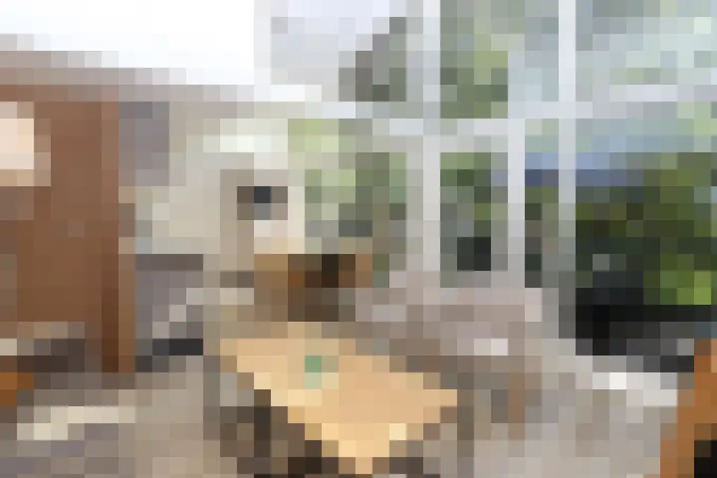 Lommerbergen 315 Reuver thumbnail 5
