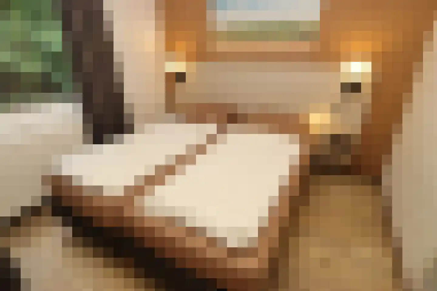 Lommerbergen 315 Reuver thumbnail 8