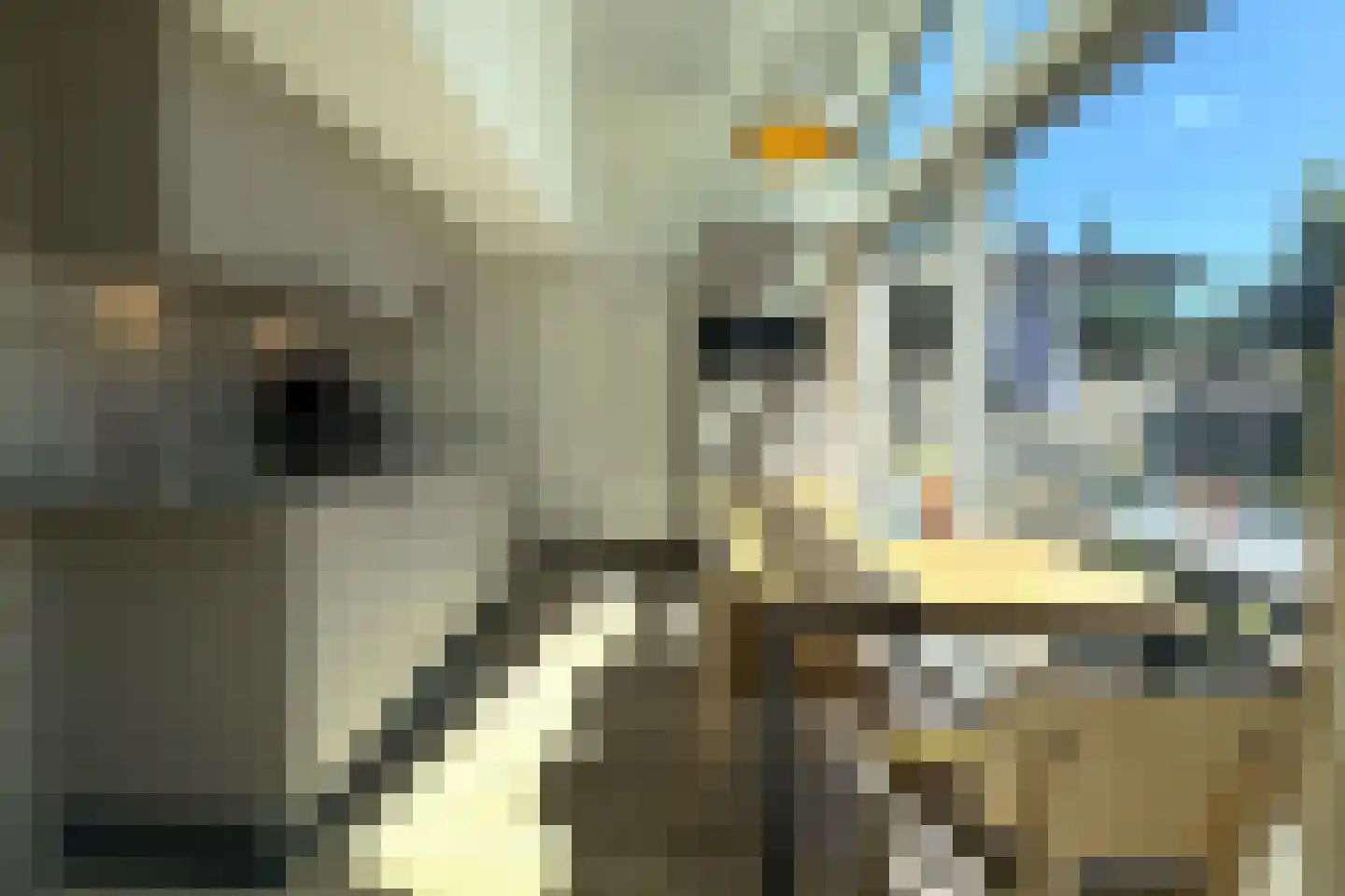 Lommerbergen 315 Reuver thumbnail 9
