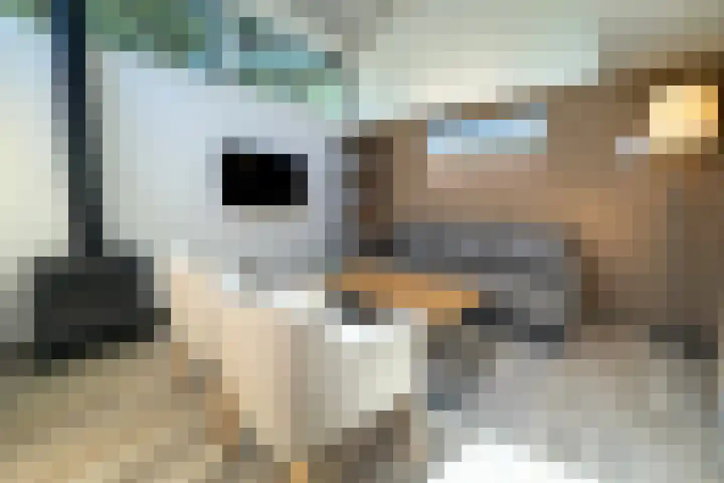 Lommerbergen 320 Reuver thumbnail 6