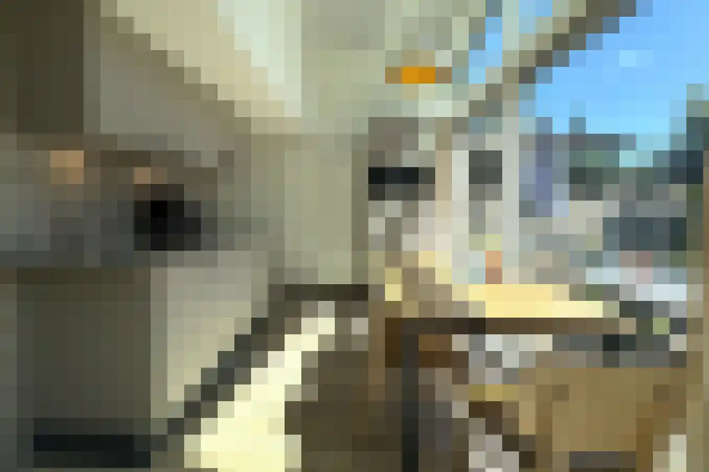 Lommerbergen 320 Reuver thumbnail 7