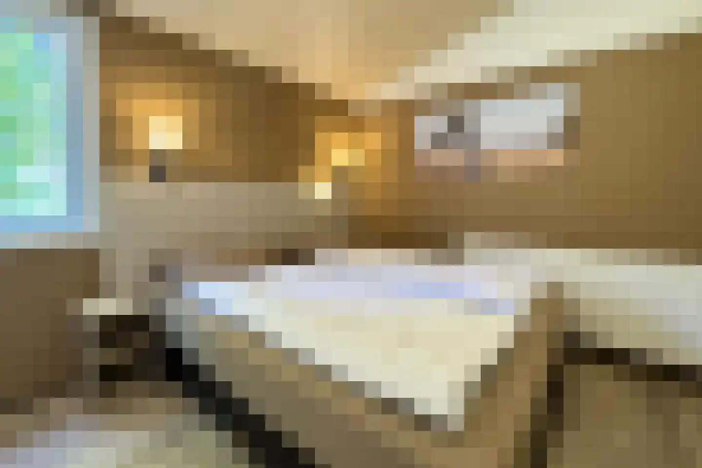 Lommerbergen 320 Reuver thumbnail 9