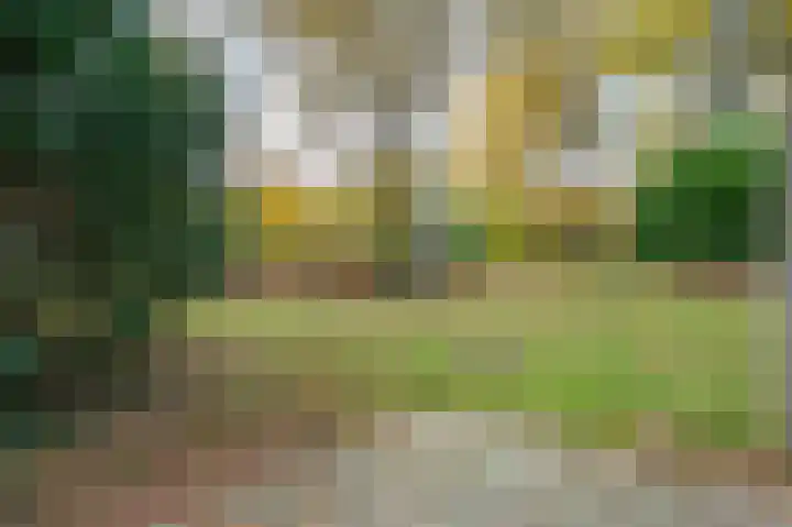 Lommerbergen 414 Reuver thumbnail 15
