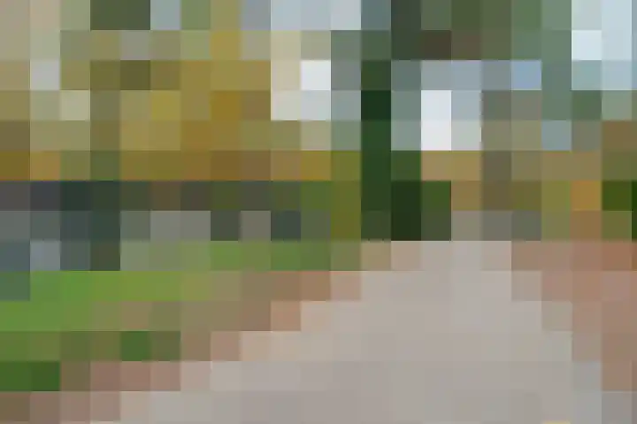 Lommerbergen 414 Reuver thumbnail 16