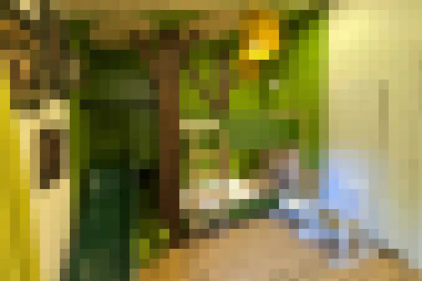 Lommerbergen 422 Reuver thumbnail 10