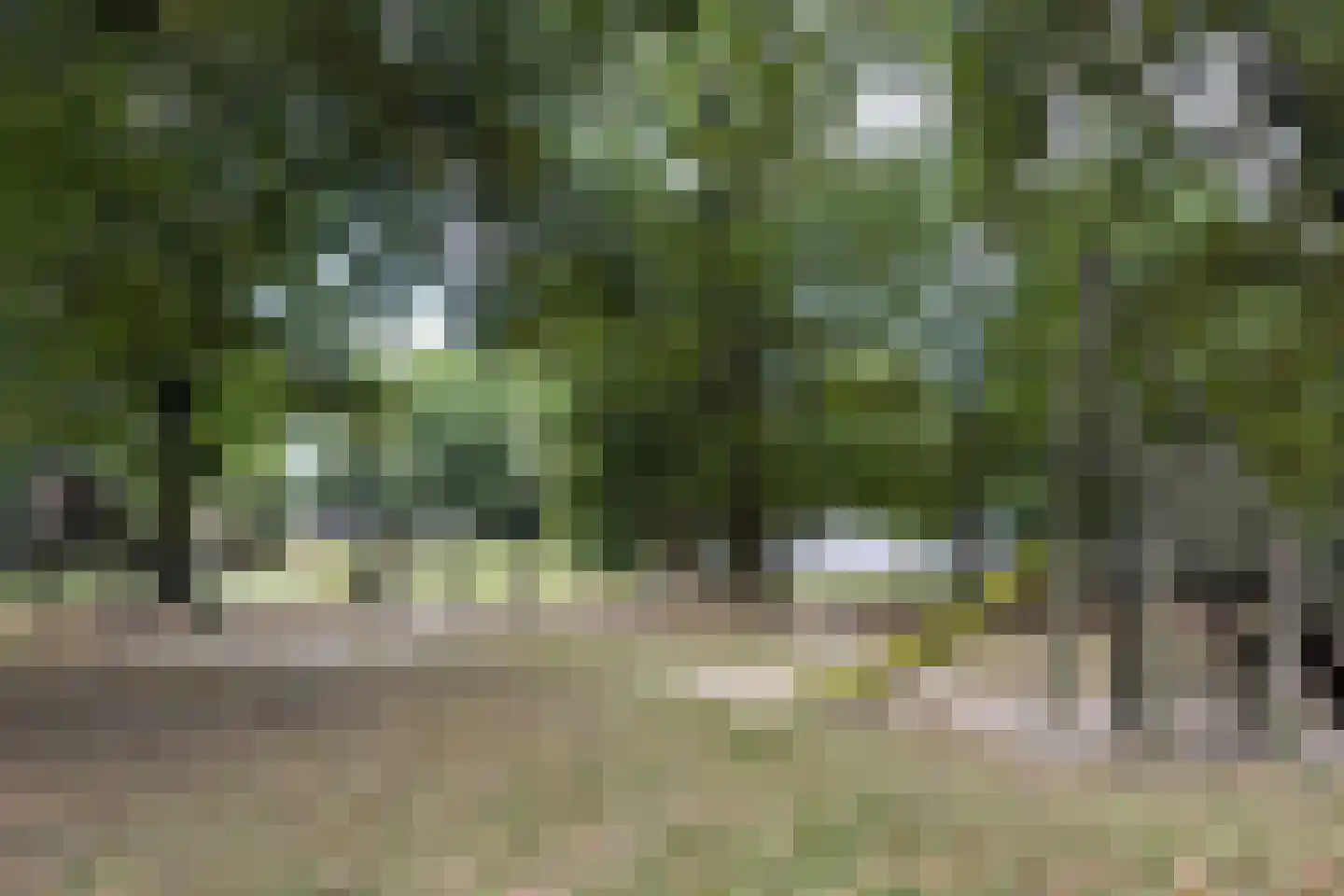 Lommerbergen 422 Reuver thumbnail 4