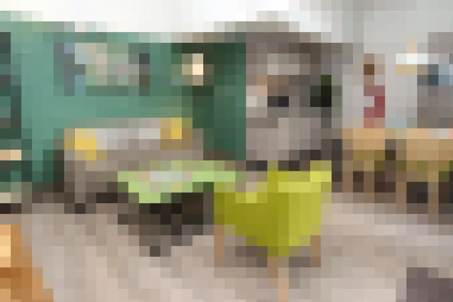 Lommerbergen 422 Reuver thumbnail 5