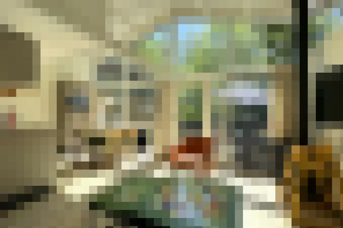 Lommerbergen 422 Reuver thumbnail 5