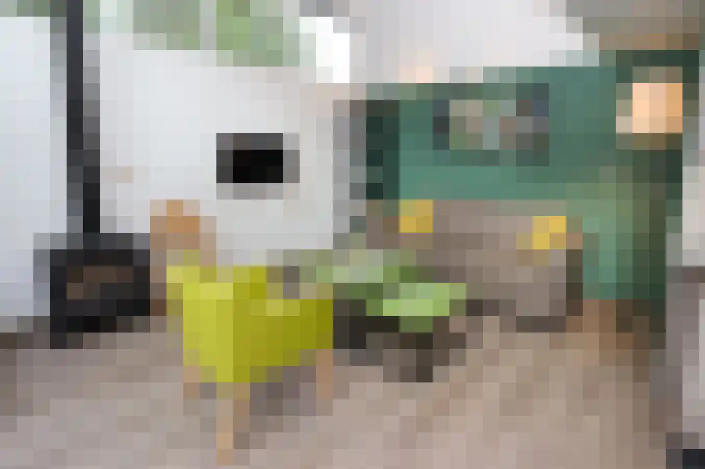 Lommerbergen 422 Reuver thumbnail 6