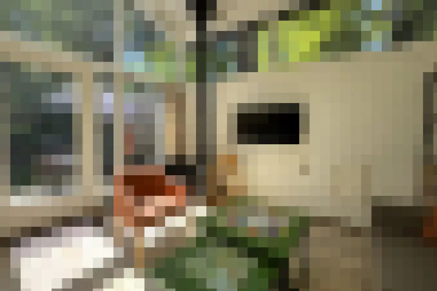 Lommerbergen 422 Reuver thumbnail 6
