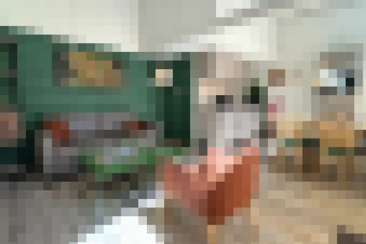 Lommerbergen 422 Reuver thumbnail 7