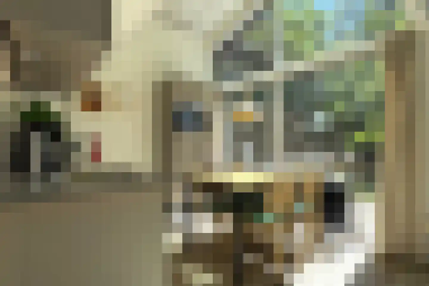 Lommerbergen 422 Reuver thumbnail 8
