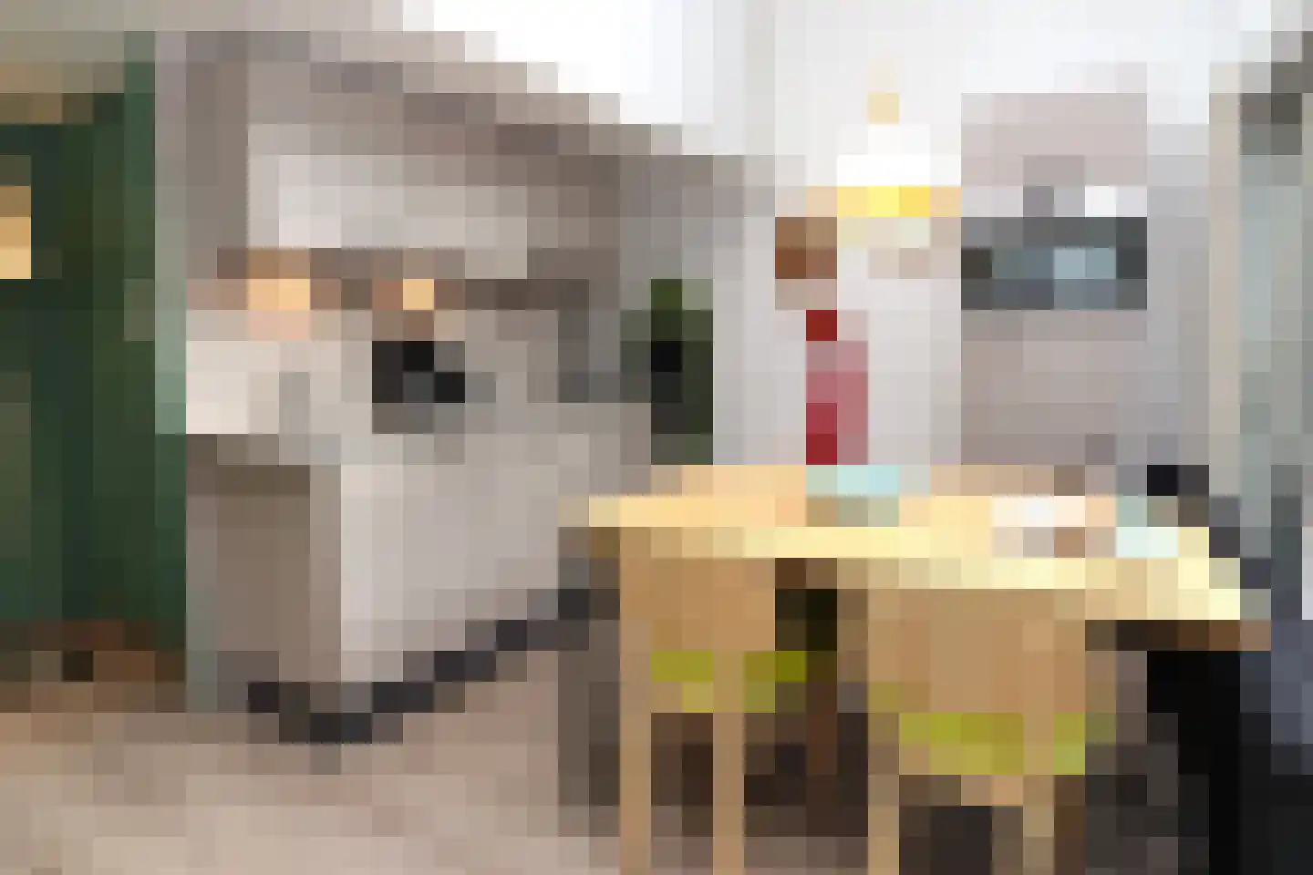 Lommerbergen 422 Reuver thumbnail 8